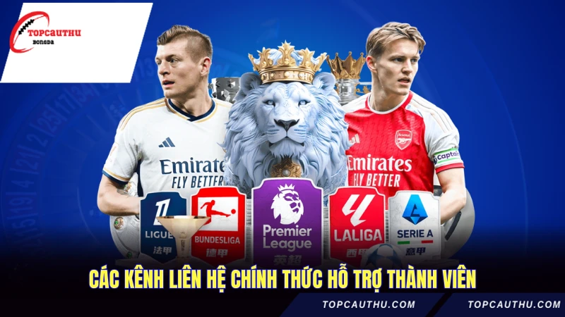 Các kênh liên hệ chính thức hỗ trợ thành viên