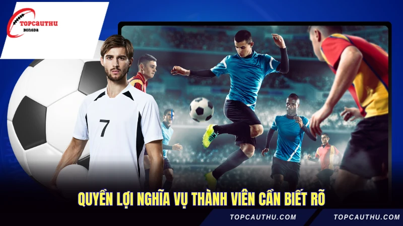 Điều Khoản Sử Dụng - Hướng Dẫn Chi Tiết Nhất 2 Quyền lợi nghĩa vụ thành viên cần biết rõ