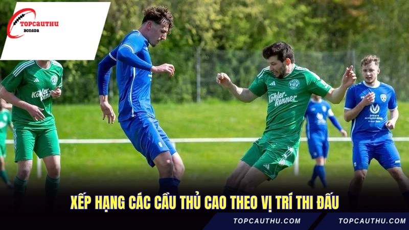 Xếp hạng các cầu thủ cao theo vị trí thi đấu